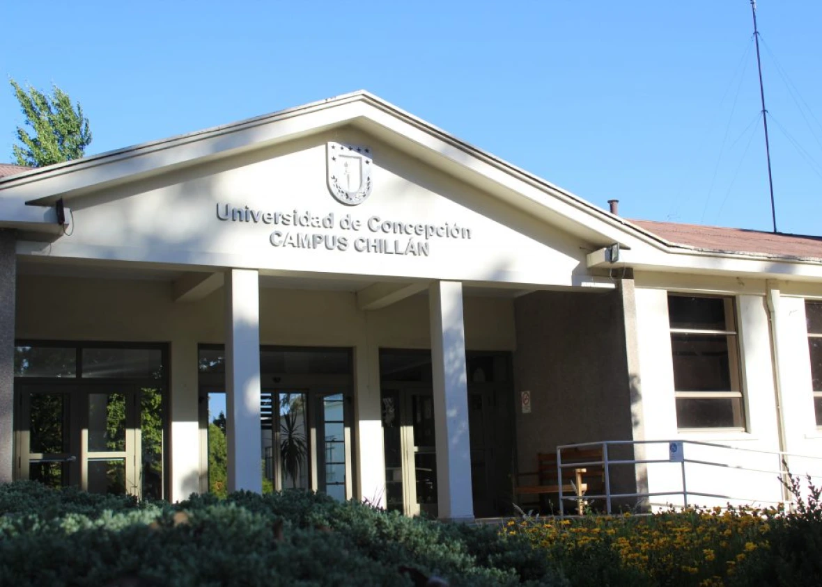 Entrada principal del Campus Chillán de la Universidad de Concepción, fachada blanca y jardín bajo cielo despejado.