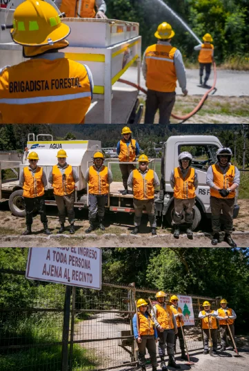 Collage de brigadistas forestales con cascos y chalecos naranjas: riego con manguera, posan ante camión y portón.