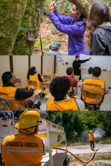 Collage de capacitaciones brigadistas: monitoreo de árbol, clase teórica con chalecos naranjas y práctica de manguera.