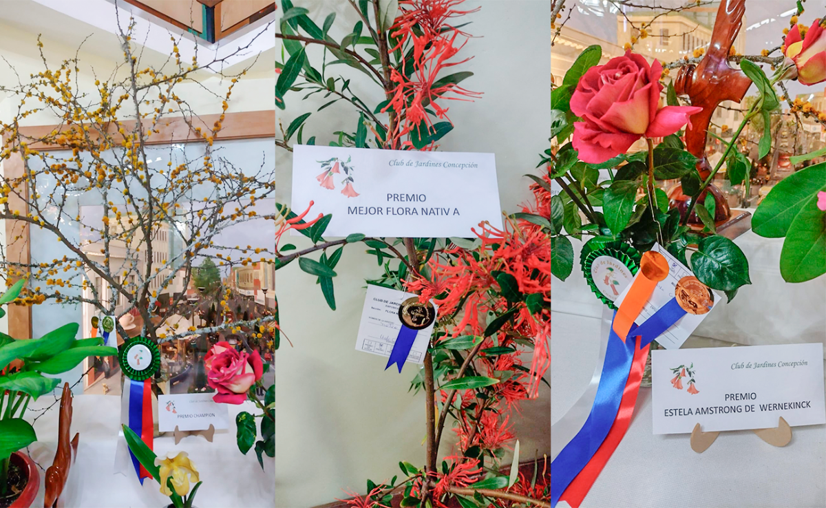 UdeC es premiada en la 67° Exposición de Flores, Plantas y Diseños Florales