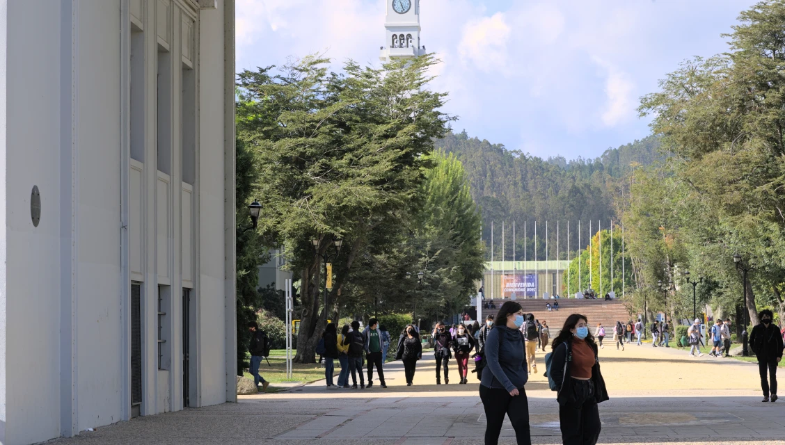 Estudiantes caminan por paseo arbolado del campus; torre reloj y colinas verdes al fondo