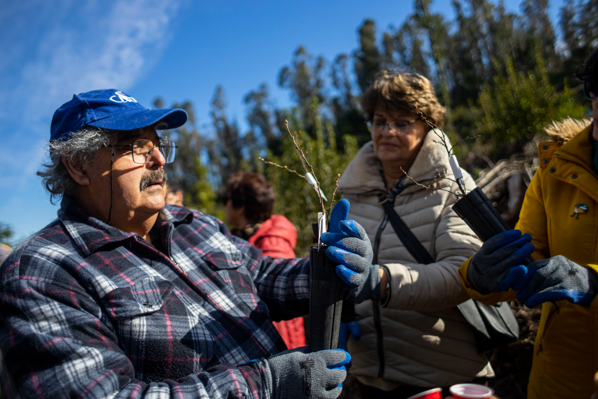 Plantación comunitaria en Campus Naturaleza UdeC refuerza la conservación de especies nativas