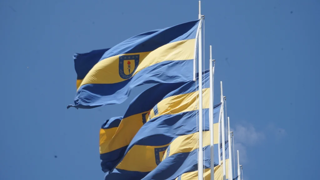 Banderas de la Universidad de Concepción