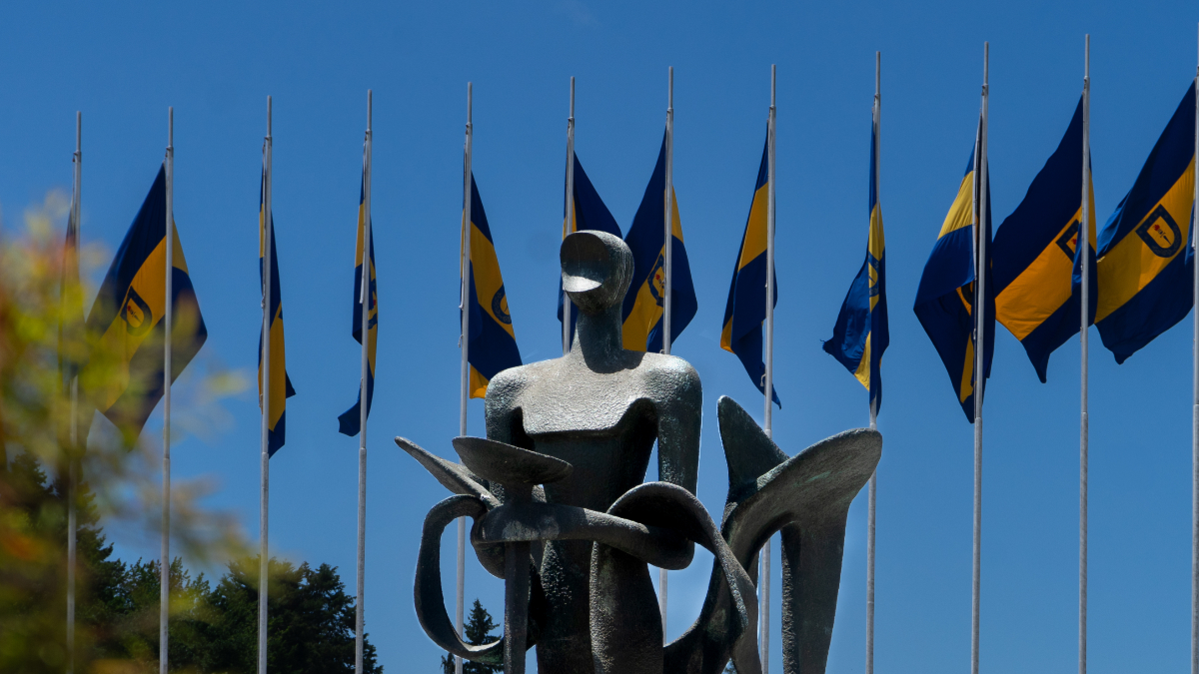 Corporación Universidad de Concepción alcanza nueva mejora en su clasificación de riesgo