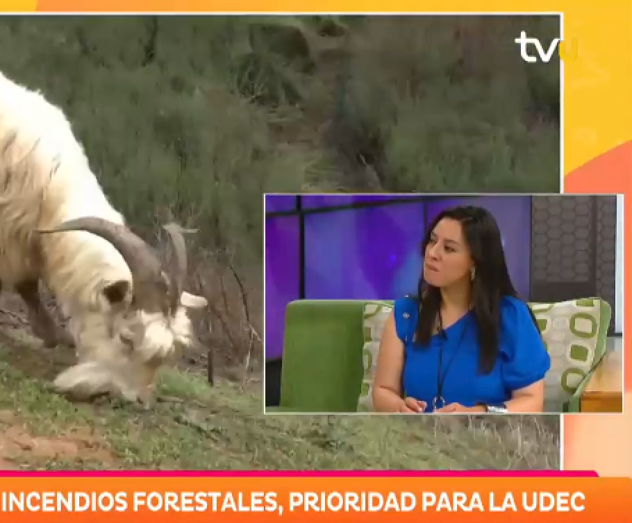 Brigada Caprina regresa a la UdeC para trabajos de prevención de incendios forestales