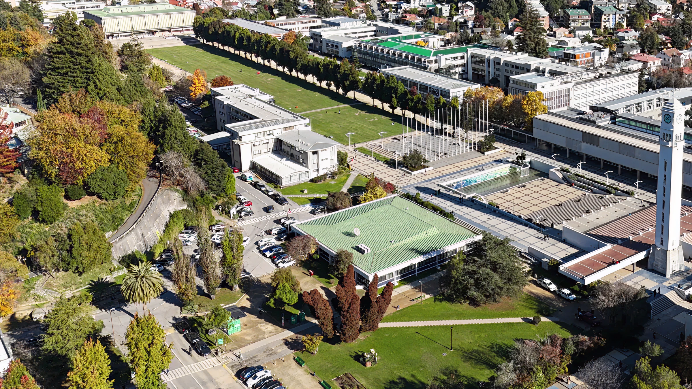 UdeC inicia plan de manejo de arbolado para garantizar seguridad en el campus