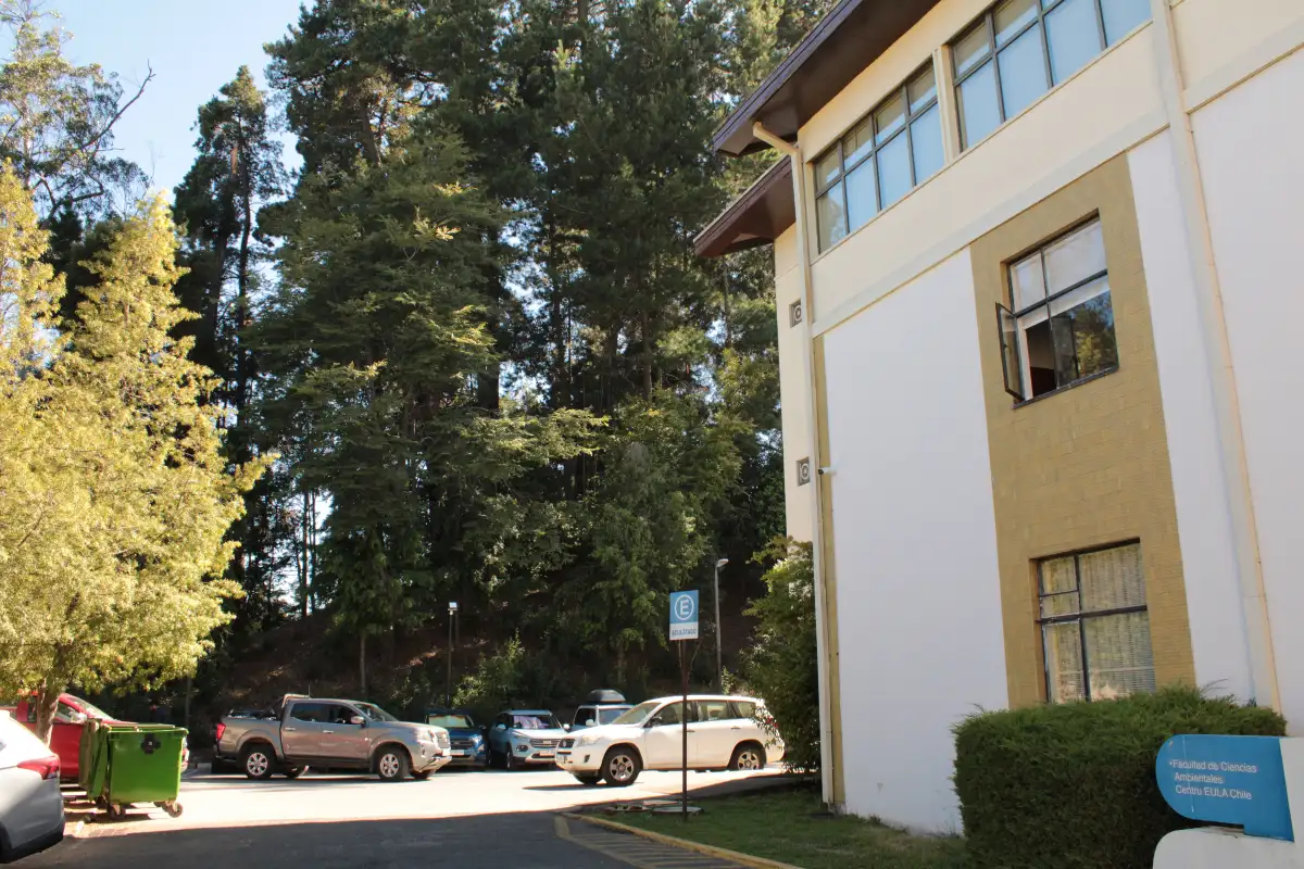 UdeC realizará recambio de pinos y eucaliptos por especies nativas en sector aledaño a la Facultad de Ciencias Ambientales / Centro EULA-Chile para fortalecer biodiversidad y prevenir riesgos