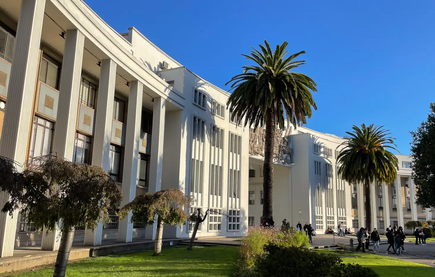 Propone las políticas de recursos humanos y vela por la correcta aplicación de estas.