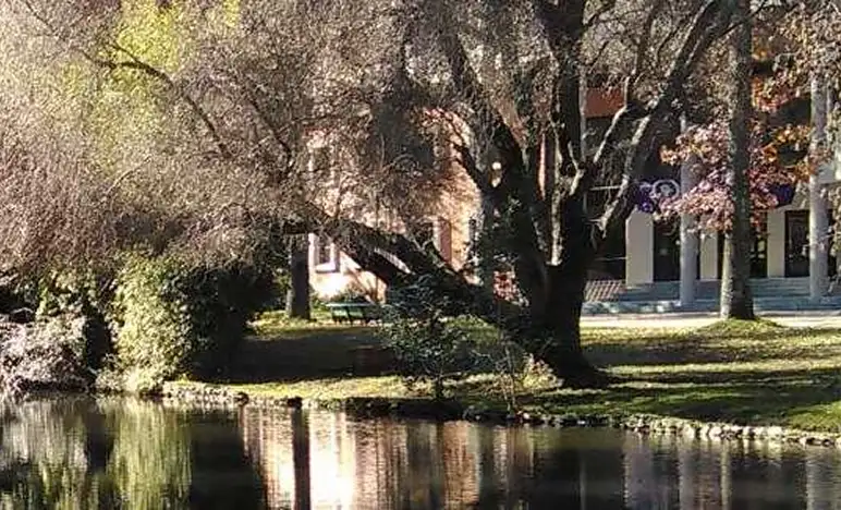 Programa y administra las actividades y servicios centrales que son comunes en el ámbito universitario.