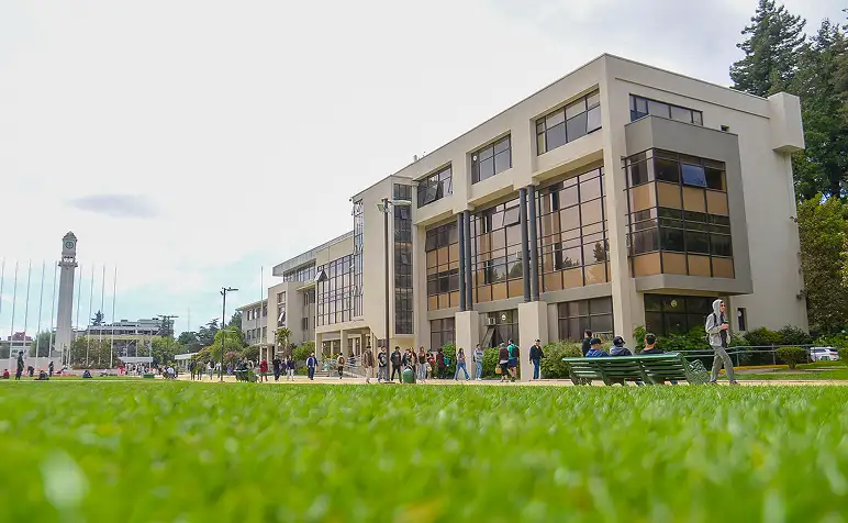 Administra los recursos financieros de la Universidad de Concepción y la consolidación de los estados financieros de la Corporación.