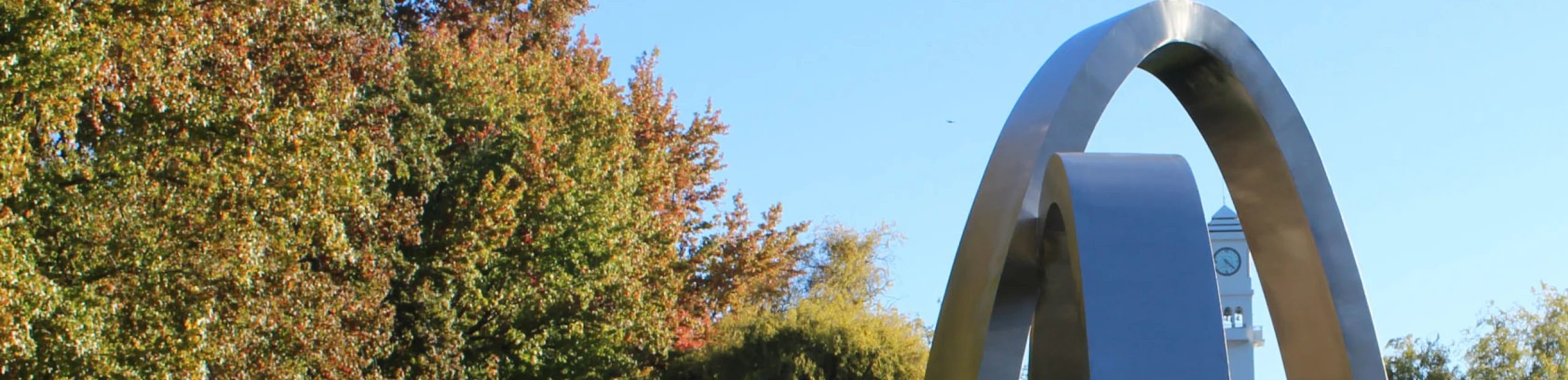 Dirección de Adquisiciones y Gestión de Contratos (DAGC)