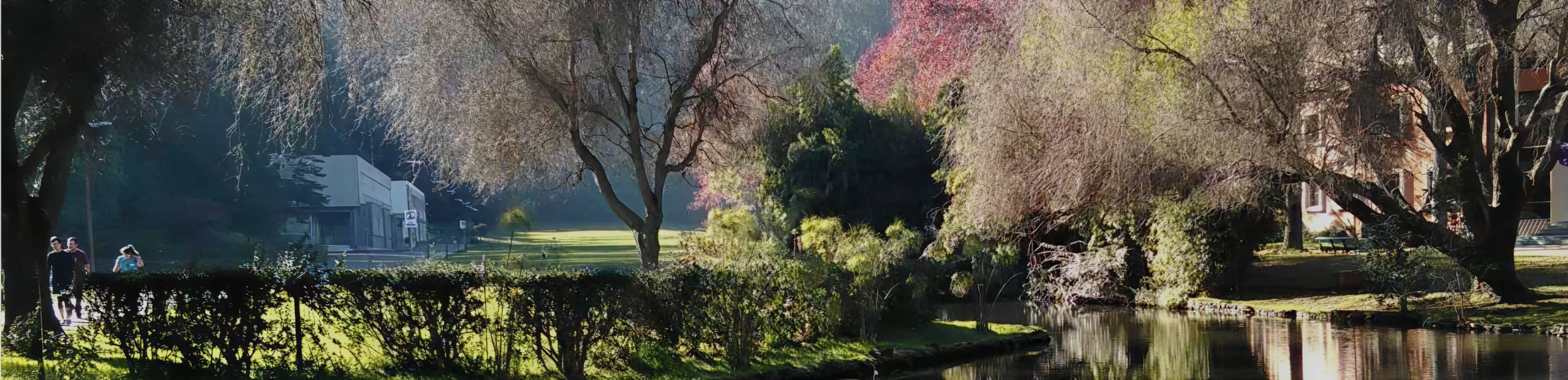 Dirección de Servicios (DirSer)