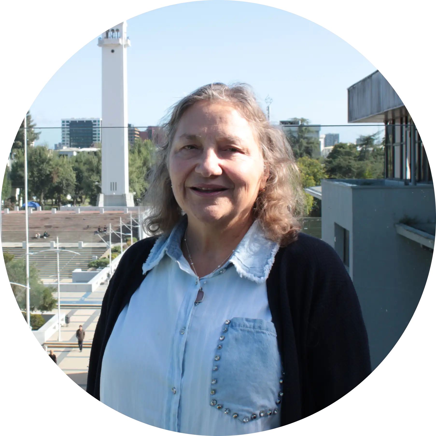 Soledad Villarroel Vega