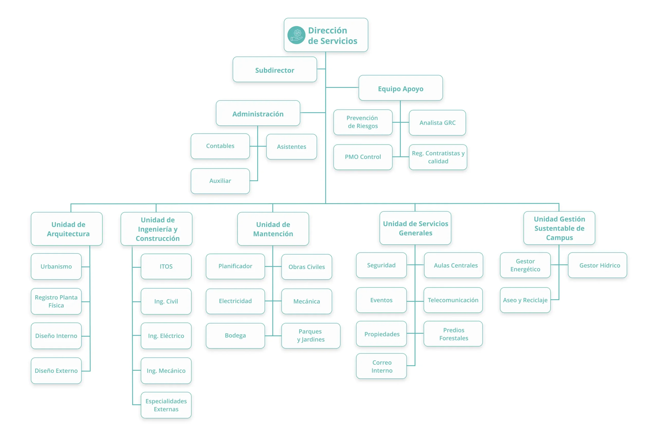 organigrama dirección 3